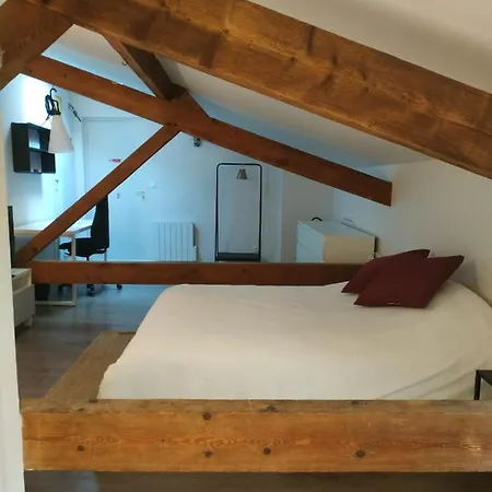 Attic One Bedroom Flat In Old Town Lyon